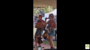 Caramel et Cachichi au Festival au TOP à Digne les bains 28 Août 2026.mp4
