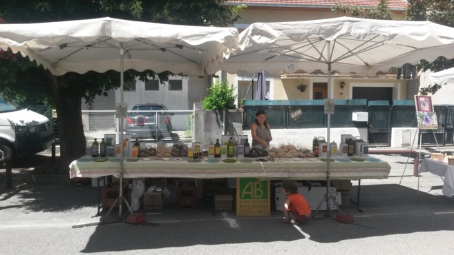 L’huile d’olive bio c’est possible dans la capitale douce ! L’huile d’olive bio c’est possible dans la capitale douce !