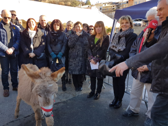 La 19ème Fête de l’âne gris de Digne a suivi et participé au téléthon La 19ème Fête de l’âne gris de Digne a suivi et participé au téléthon