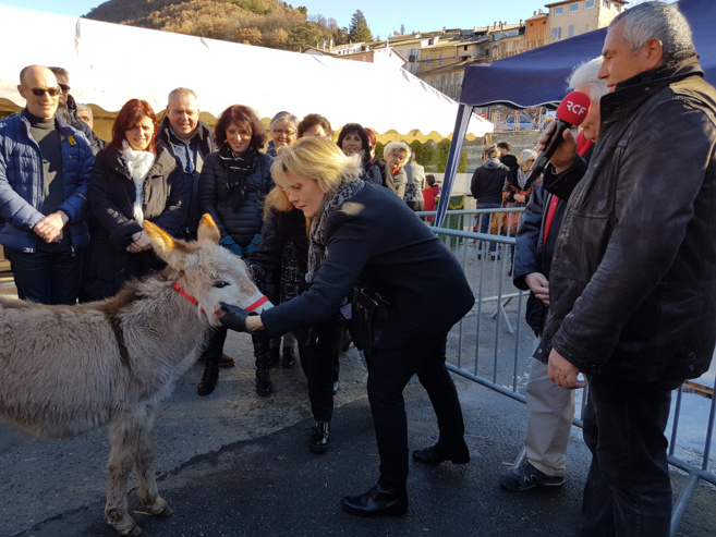 La 19ème Fête de l’âne gris de Digne a suivi et participé au téléthon La 19ème Fête de l’âne gris de Digne a suivi et participé au téléthon