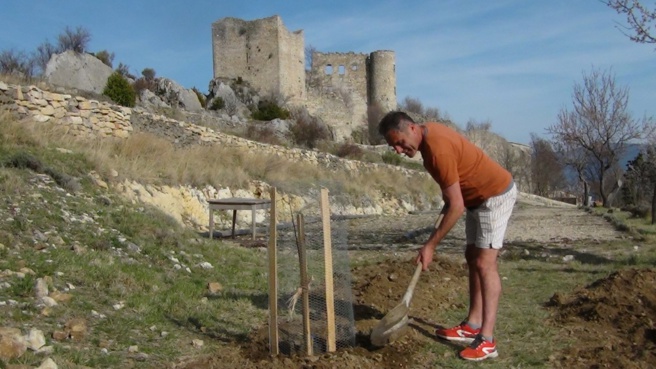 Village perché du Haut-Var, Bargème embellit ses restanques de plantations rustiques Village perché du Haut-Var, Bargème embellit ses restanques de plantations rustiques