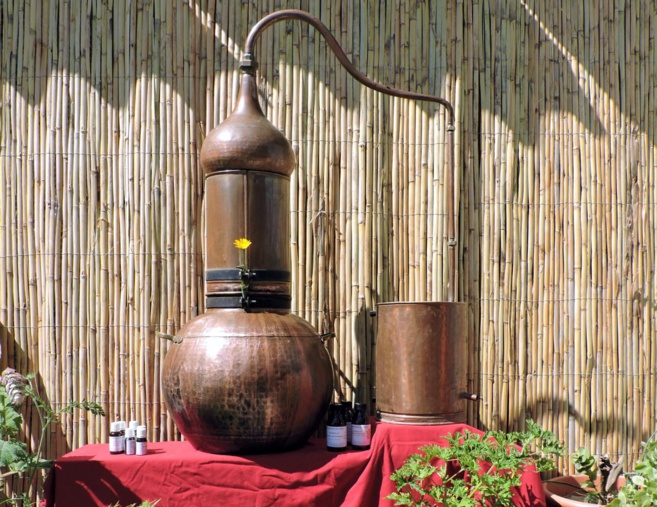 Découvrons les hydrolats de l’Adoux Découvrons les hydrolats de l’Adoux