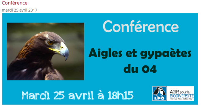 Conférence passionnante sur les rapaces à Digne Conférence passionnante sur les rapaces à Digne