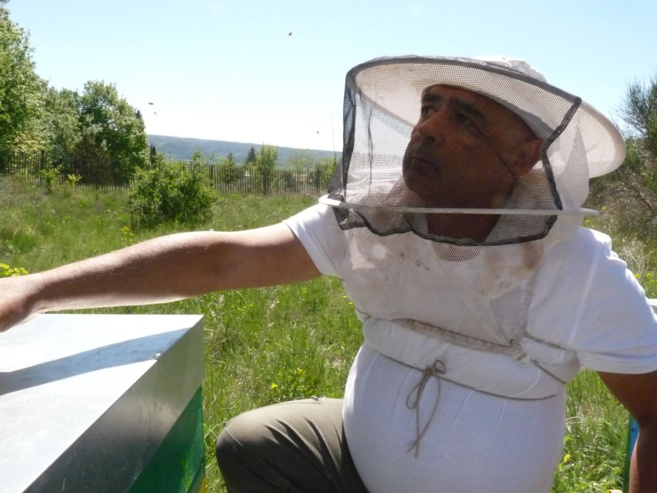 Thierry Calvo à l'oeuvre Thierry Calvo à l'oeuvre