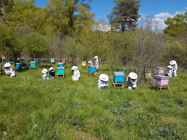 Une bergère d’abeilles a accueilli un public familial au Brusquet Une bergère d’abeilles a accueilli un public familial au Brusquet