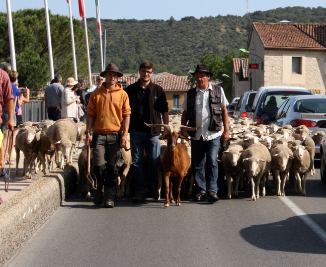 Vinon-sur-Verdon étape clé de la transhumance Vinon-sur-Verdon étape clé de la transhumance