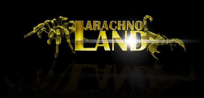 Avis aux amateurs d’arachnides et reptiles dans les Hautes Alpes. Avis aux amateurs d’arachnides et reptiles dans les Hautes Alpes.