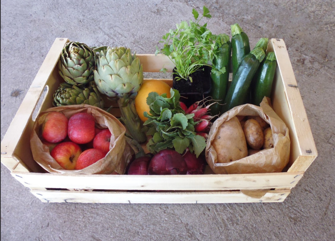 Des paniers bios et issus des circuits courts à Vinon Des paniers bios et issus des circuits courts à Vinon