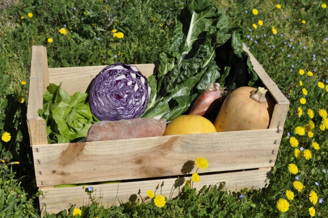 Des paniers bios et issus des circuits courts à Vinon Des paniers bios et issus des circuits courts à Vinon