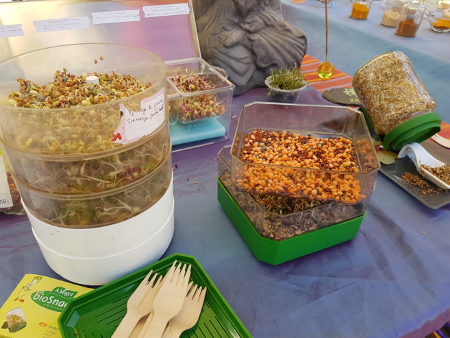 Sous le soleil dignois à la découverte de la richesse nutritive des graines germées Sous le soleil dignois à la découverte de la richesse nutritive des graines germées