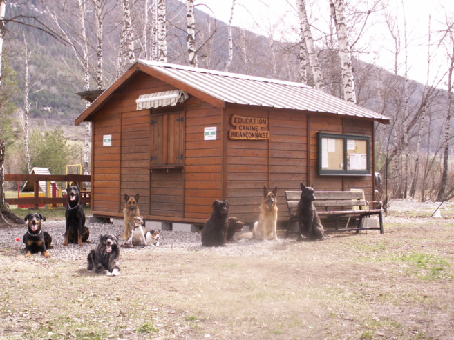 Une Asso qui a du chien… forcément ! Une Asso qui a du chien… forcément !