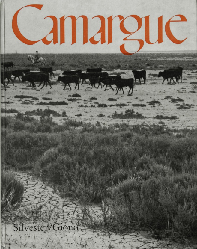 Dans deux jours s’ouvrent les 12èmes Rencontres Giono. En attendant, nous partons pour la Camargue ! Dans deux jours s’ouvrent les 12èmes Rencontres Giono. En attendant, nous partons pour la Camargue !