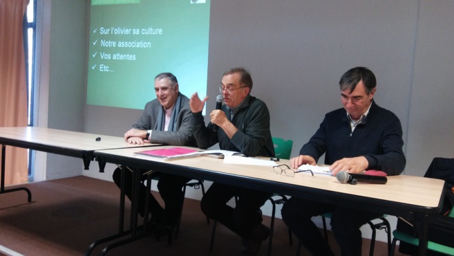 Haute-Provence : l’or vert est en de bonnes mains ! Haute-Provence : l’or vert est en de bonnes mains !