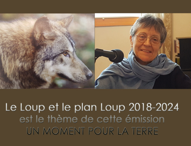 Un moment pour la terre avec France Nature Environnement Un moment pour la terre avec France Nature Environnement