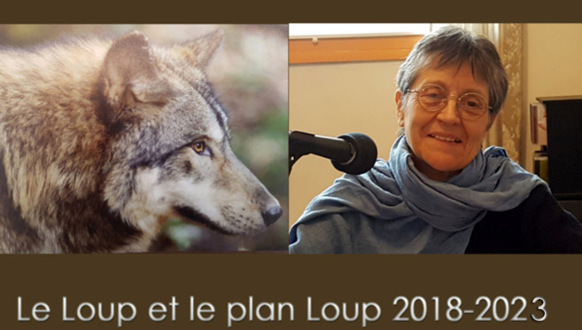 Le plan loup dans le viseur de France Nature Environnement Le plan loup dans le viseur de France Nature Environnement