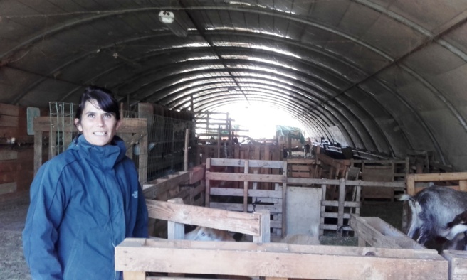 A Roumoules, les chèvres d’Aurélie sont privées de sortie ! A Roumoules, les chèvres d’Aurélie sont privées de sortie !