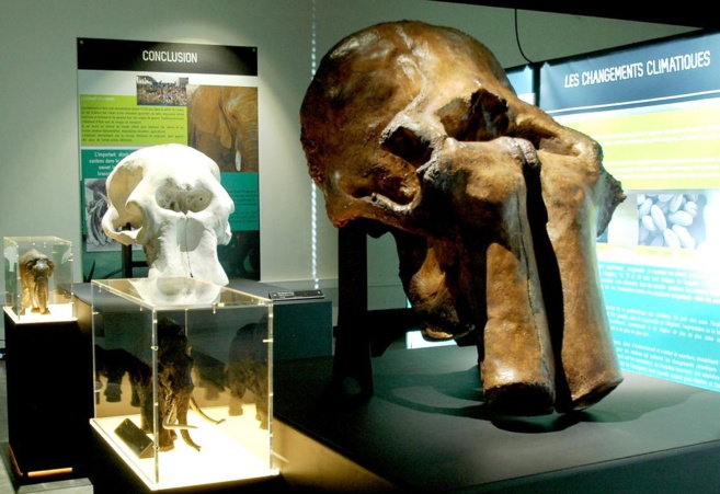 Photo : Palais de l'univers et des sciences de Dunkerque Photo : Palais de l'univers et des sciences de Dunkerque