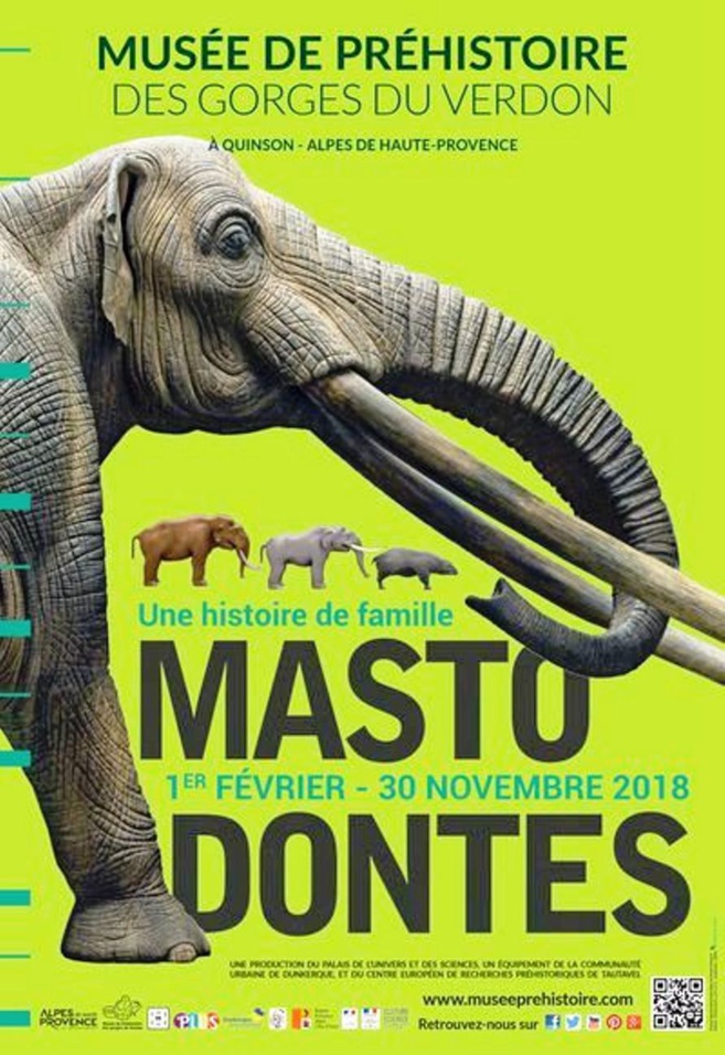 Les Mastodontes débarquent au Musée de préhistoire de Quinson Les Mastodontes débarquent au Musée de préhistoire de Quinson