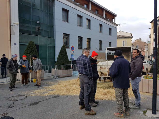 A Digne, les jeunes agriculteurs réveillent le Préfet ! A Digne, les jeunes agriculteurs réveillent le Préfet !