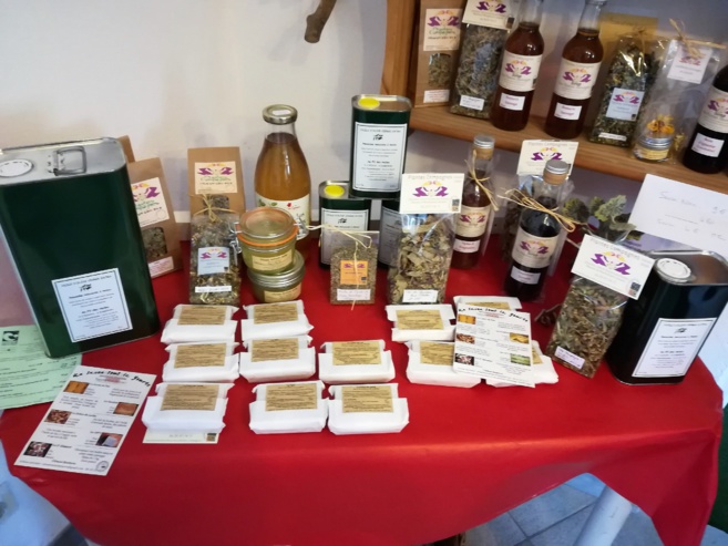 Mosaïque peut vous aider à créer votre entreprise en toute sérénité ! Mosaïque peut vous aider à créer votre entreprise en toute sérénité !