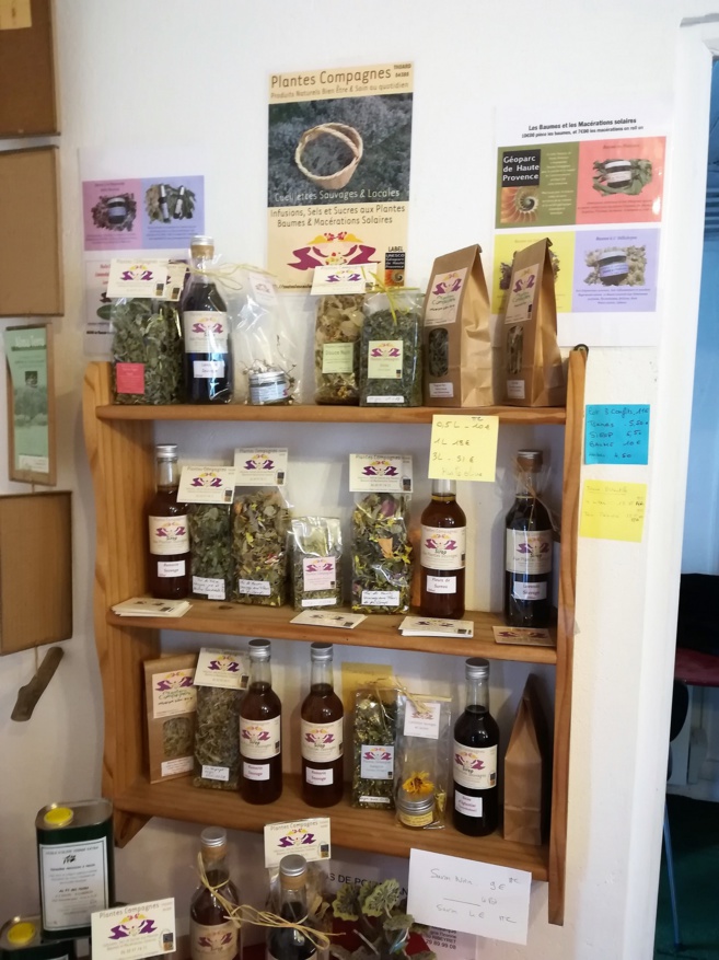 Mosaïque peut vous aider à créer votre entreprise en toute sérénité ! Mosaïque peut vous aider à créer votre entreprise en toute sérénité !