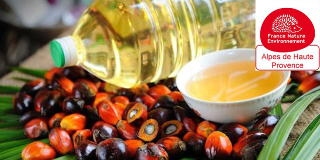 L'huile de Palme : danger L'huile de Palme : danger