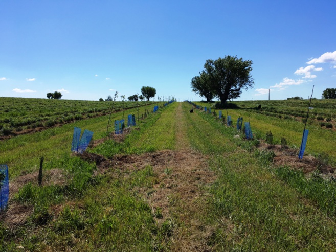 Photo PRNV - E.Barrandon Photo PRNV - E.Barrandon