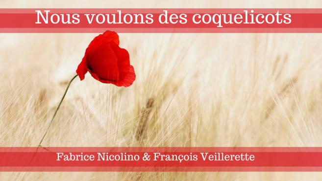 Des coquelicots plutôt que des pesticides ! Des coquelicots plutôt que des pesticides !