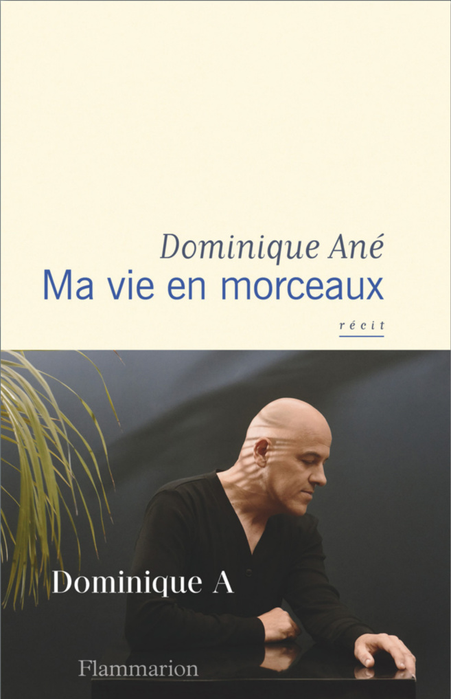 Rencontre avec Dominique A Rencontre avec Dominique A