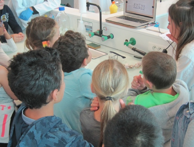 La science fêtée et expliquée à Digne La science fêtée et expliquée à Digne