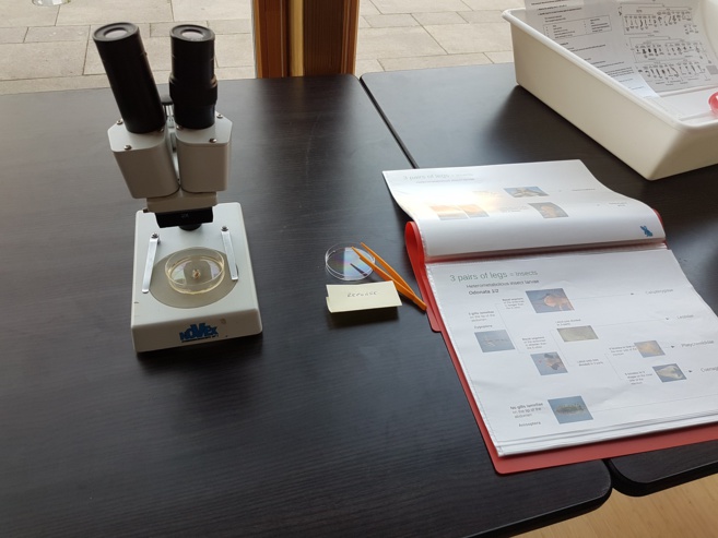 L’aventure Erasmus se poursuit par une exposition à Digne L’aventure Erasmus se poursuit par une exposition à Digne