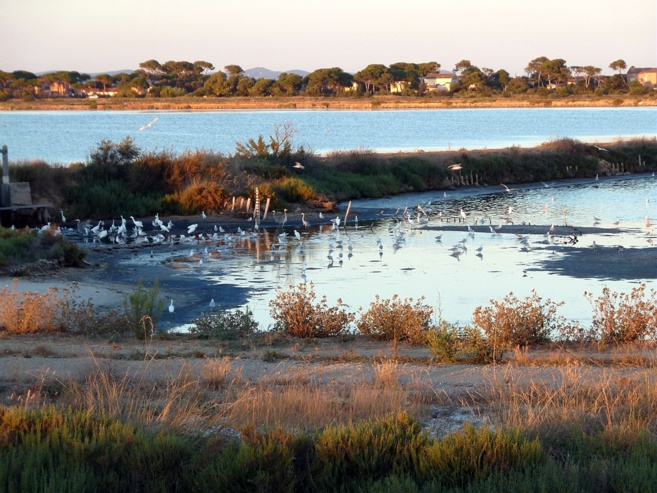 Un festival pour protéger la nature ! Un festival pour protéger la nature !