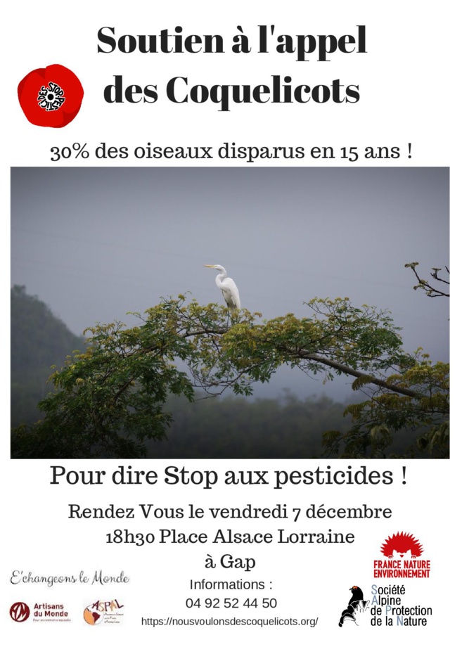 Ce week-end, Gap marche pour le climat Ce week-end, Gap marche pour le climat