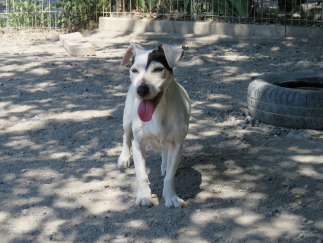 BAYA - attend son panier retraite ! BAYA - attend son panier retraite !