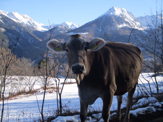 Des visites autour de Briançon, en télécabine Des visites autour de Briançon, en télécabine