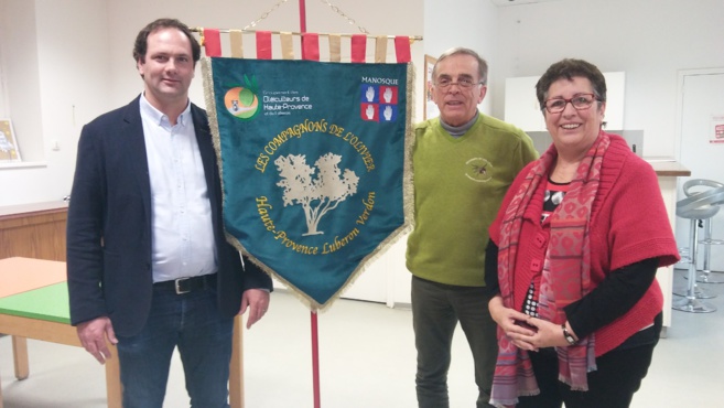 Olive de Haute-provence : un atout économique et paysager Olive de Haute-provence : un atout économique et paysager