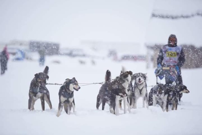 Un musher haut-alpin remporte la Vercors Quest 300 ! Un musher haut-alpin remporte la Vercors Quest 300 !