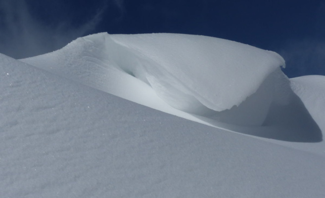 Une nouvelle exposition au Centre montagne à Villar-Saint-Pancrace ! Une nouvelle exposition au Centre montagne à Villar-Saint-Pancrace !
