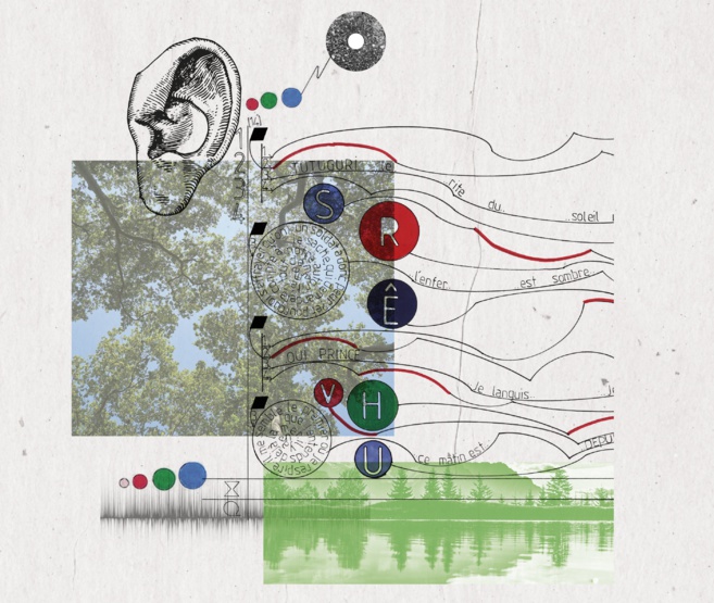 Rencontre sonore avec Loïc Guénin - A Web, A Limb, A Wire Rencontre sonore avec Loïc Guénin - A Web, A Limb, A Wire