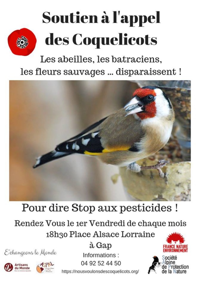 Vendredi fleuri pour les coquelicots dans le 05 Vendredi fleuri pour les coquelicots dans le 05