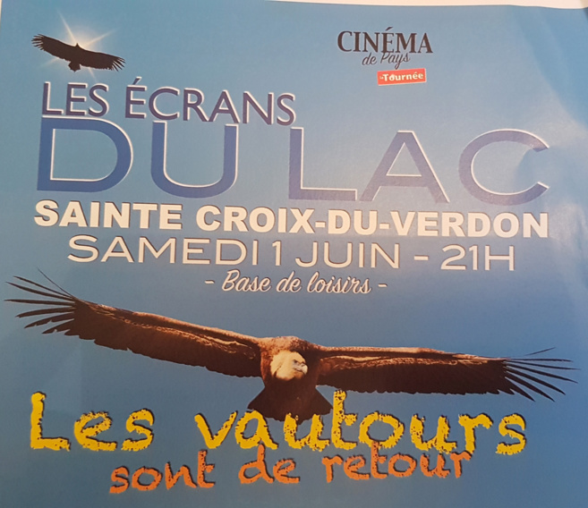 Les vautours sont de retour, une projection-débat les écrans du lac Les vautours sont de retour, une projection-débat les écrans du lac