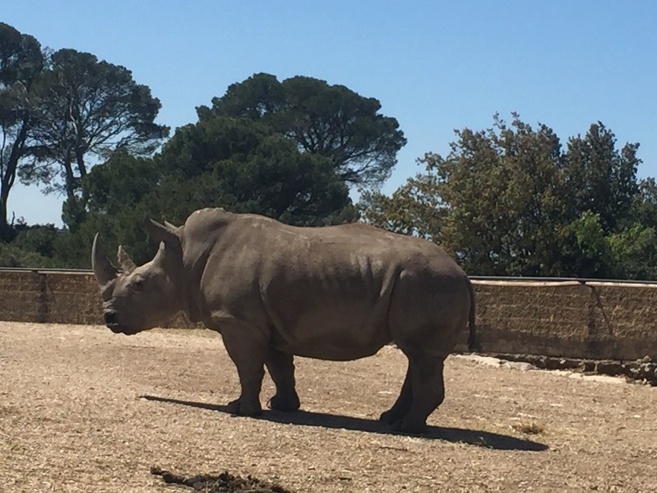 Une visite au Zoo de La Barben ! Une visite au Zoo de La Barben !