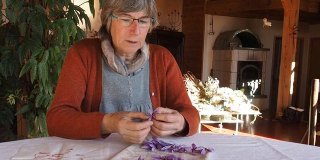 A la découverte d'une épice, le safran A la découverte d'une épice, le safran