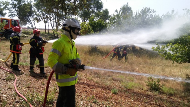 Ils sont prêts à affronter les feux de forêt ! Ils sont prêts à affronter les feux de forêt !