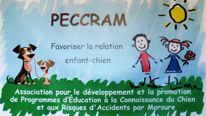 Comment mieux connaître les chiens ? Comment mieux connaître les chiens ?
