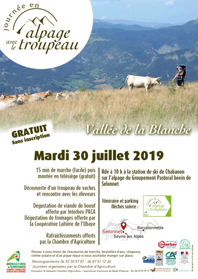 Rencontre au sommet à Chabanon-Selonnet Rencontre au sommet à Chabanon-Selonnet