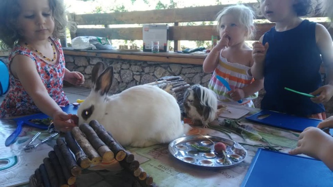 L’instant animal, c’est vraiment nos amis les bêtes L’instant animal, c’est vraiment nos amis les bêtes