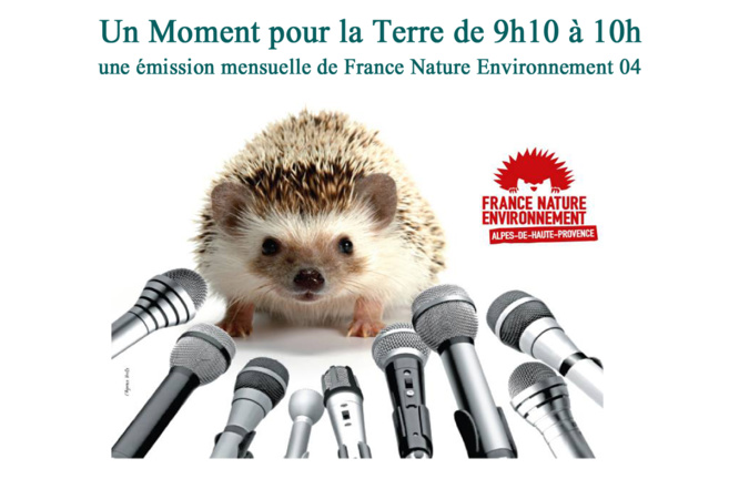 Un moment pour la terre avec France Nature Environnement - et le mouvement des coquelicots