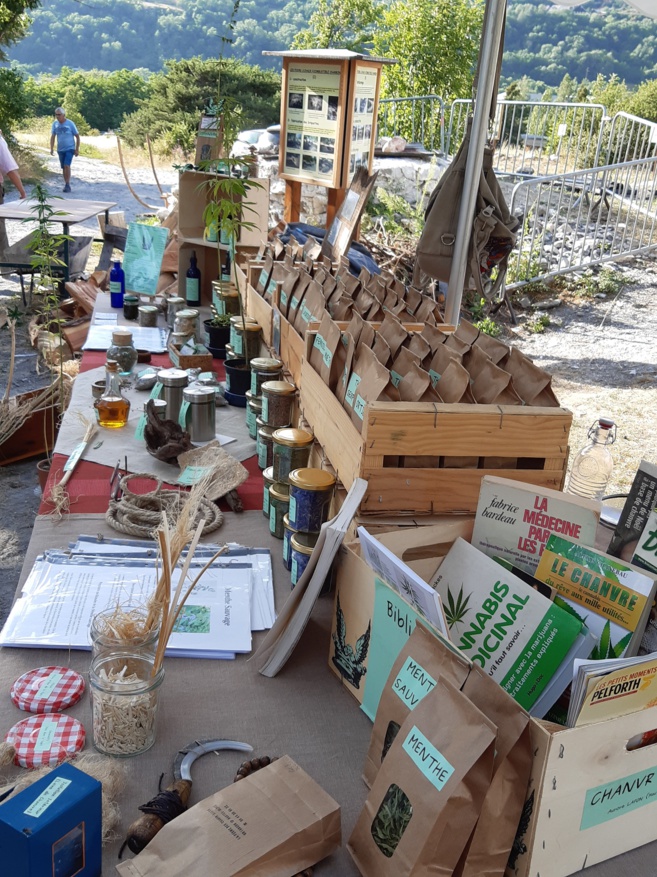 Le chanvre a de nombreuses vertus Le chanvre a de nombreuses vertus