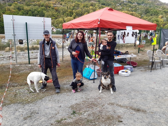 Chiens et chats cherchent amis responsables Chiens et chats cherchent amis responsables